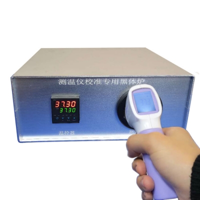 Thermometer calibrator 